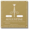 Augustine Imperial-Gold
